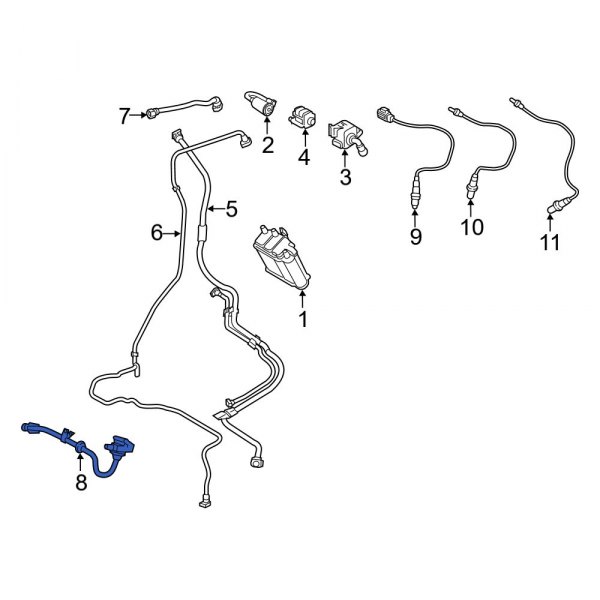 Evaporative Emissions System Lines