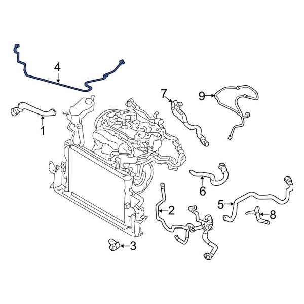 Engine Coolant Overflow Hose