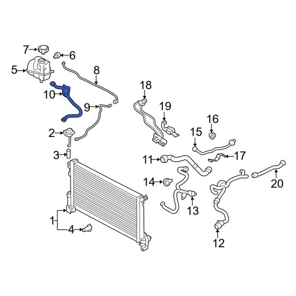 Engine Coolant Overflow Hose