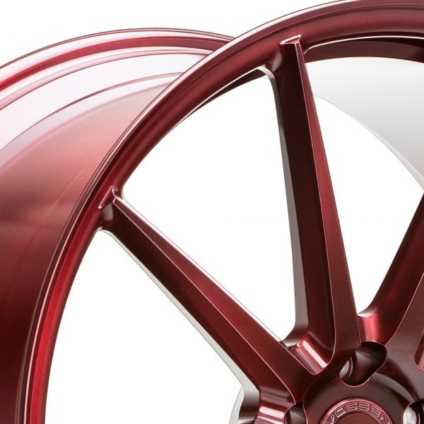 アルゼンチン産　モルフォエピストフィウス3　特大　106mm(開長) アルゼンチン産 モルフォエピストフィウス3 特大 106mm(開長