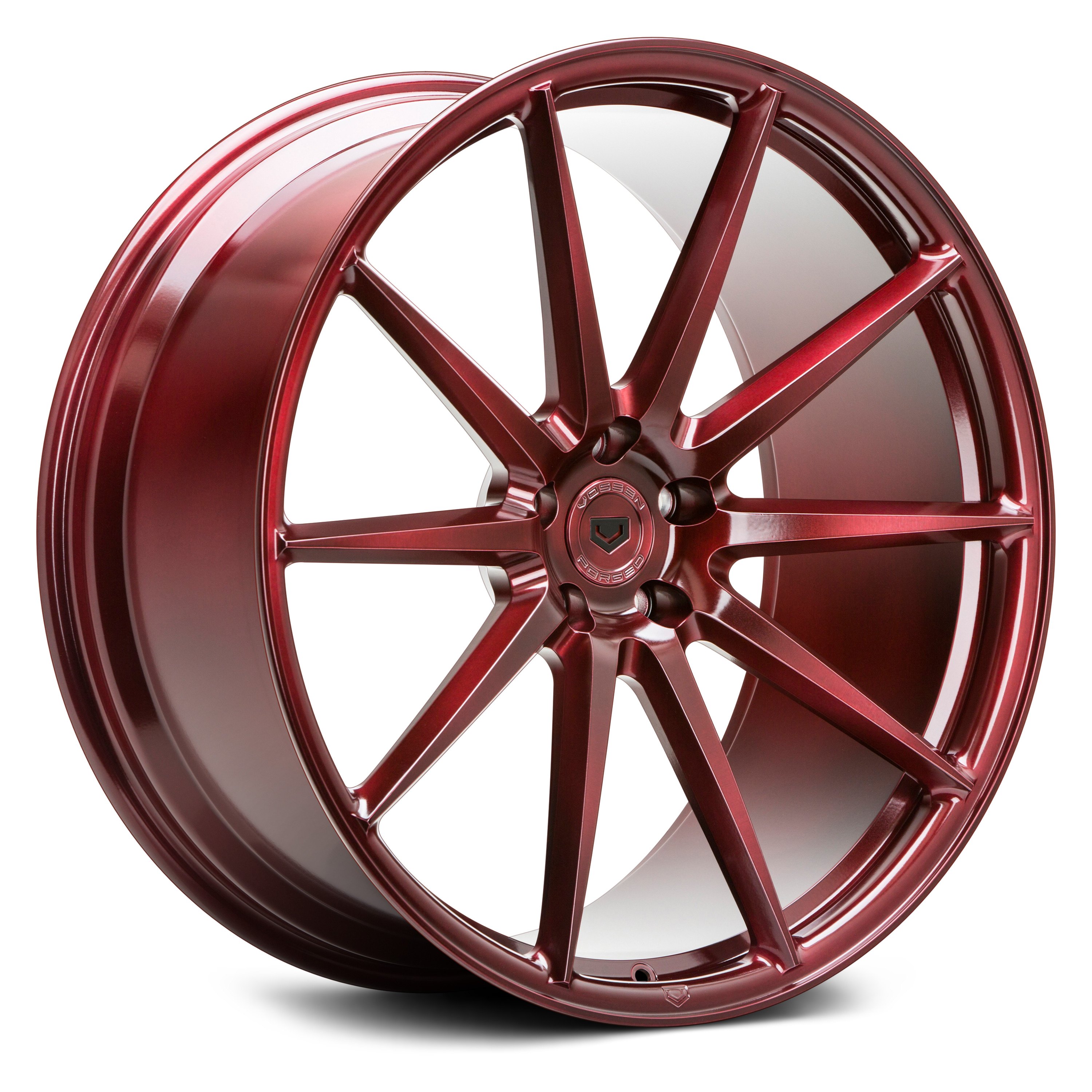 アルゼンチン産　モルフォエピストフィウス3　特大　106mm(開長) アルゼンチン産 モルフォエピストフィウス3 特大 106mm(開長