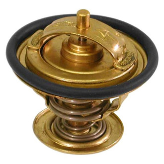 Wahler® - Engine Coolant Thermostat with Seal