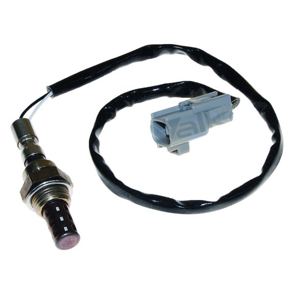 Walker Products® - Premium Oxygen Sensor