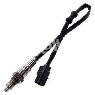 Walker Products® - Premium Oxygen Sensor