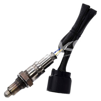 Walker Products® - Premium Oxygen Sensor