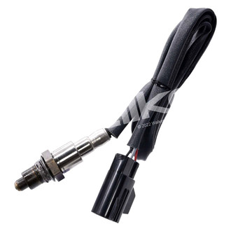 Walker Products® - Oxygen Sensor