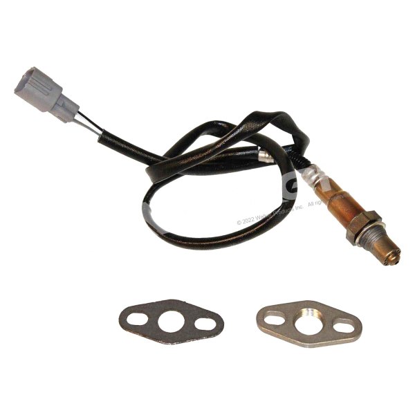 Walker Products® - Oxygen Sensor