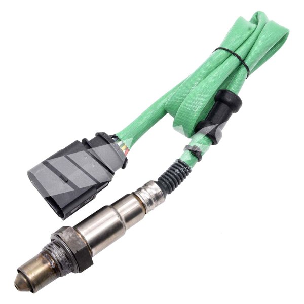 Walker Products® - Oxygen Sensor