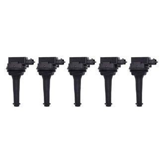 Walker Products® - Ignition Coil Set