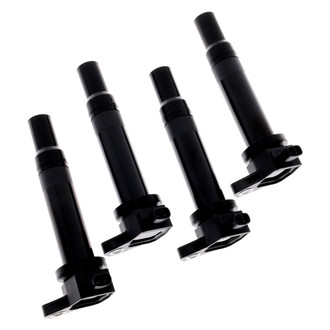 Walker Products® - Ignition Coil Set