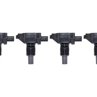 Walker Products® - Ignition Coil Set