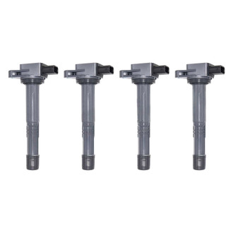 Walker Products® - Ignition Coil Set