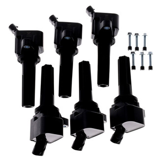 Walker Products® - Ignition Coil Set