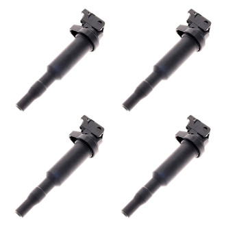Walker Products® - Ignition Coil Set