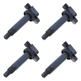 Walker Products® - Ignition Coil Set