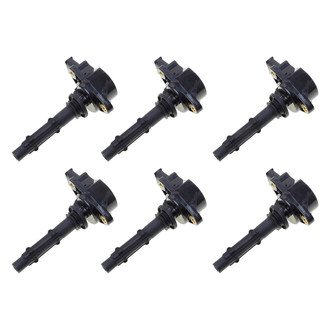 Walker Products® - Ignition Coil Set