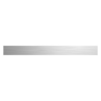 Warrior® - Polished Rear Back Plate