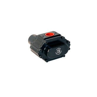 Waterman Racing® - Nostalgia Lil Bertha Fuel Pump