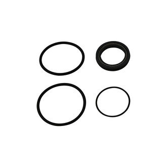 Waterman Racing® - Rear Lil or Nostalgia Bertha Fuel Pump Service Kit with EPDM Seals