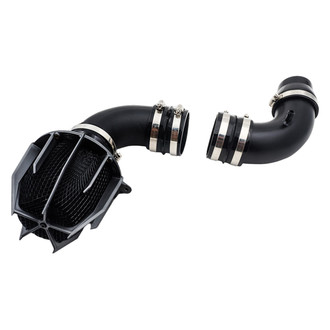 Weapon-R® - Stealth Dragon Aluminum Flat Black Short Ram Air Intake System with Black Filter
