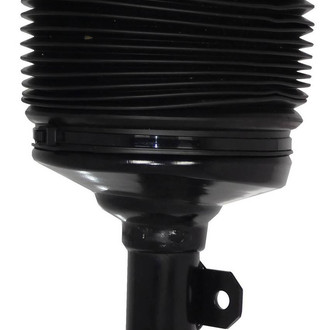 Westar® - Air Shock and Strut