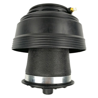 Westar® - Rear Passenger Side Air Spring