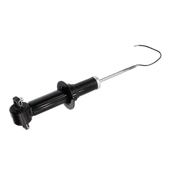 Westar® - Air Shock and Strut