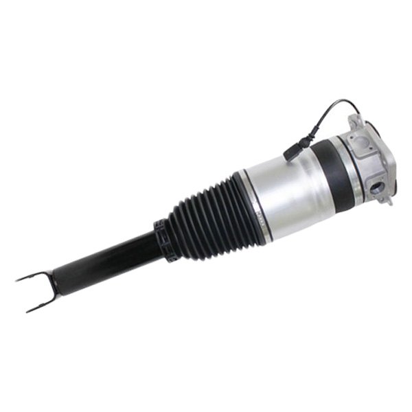 Westar® - Rear Passenger Side Complete Strut Assembly