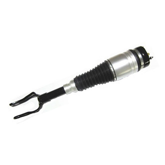 Westar® - Front Passenger Side Complete Strut Assembly