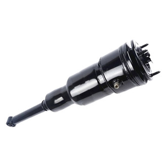 Westar® AS-7377L - Rear Driver Side Complete Strut Assembly