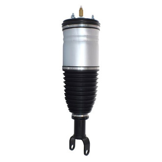 Westar® - Air Shock and Strut