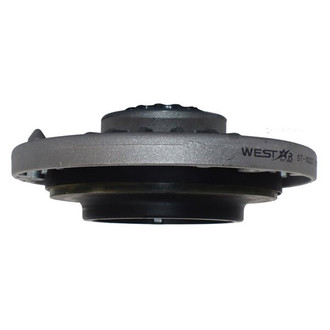 Westar® - Strut Mount