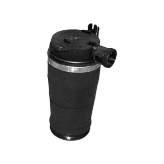 Westar® - Rear Passenger Side Air Spring