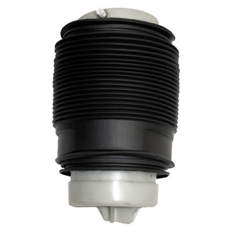 Westar® - Rear Passenger Side Air Spring