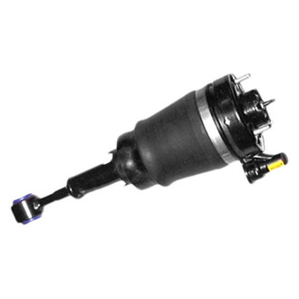 Westar® - Front Driver or Passenger Side Complete Strut Assembly