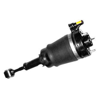 Westar® - Rear Driver or Passenger Side Complete Strut Assembly