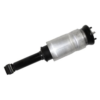 Westar® - Complete Strut Assembly
