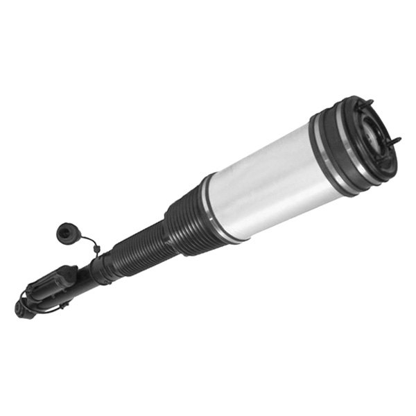 Westar® - Rear Driver or Passenger Side Complete Strut Assembly