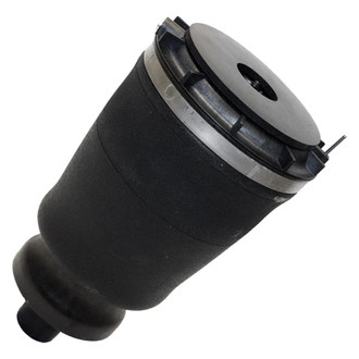 Westar® - Rear Passenger Side Air Spring