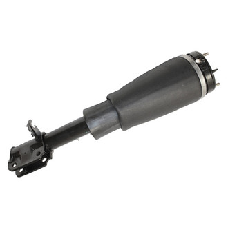 Westar® - Front Passenger Side Complete Strut Assembly