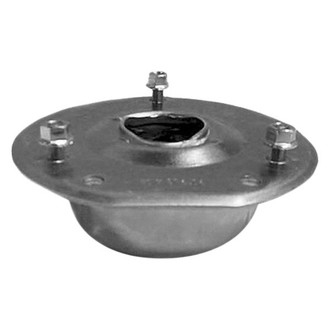 Westar® - Strut Mount