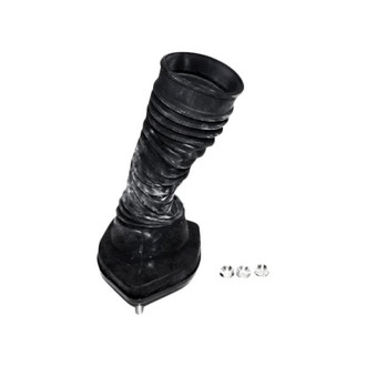 Westar® - Rear Passenger Side Strut Mount