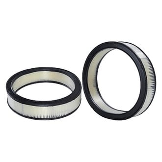 WIX® - Air Filter