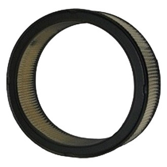 WIX® - Air Filter