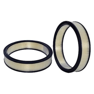 WIX® - Air Filter