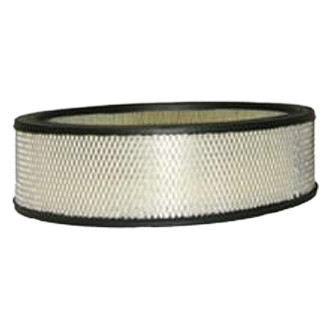 WIX® - Air Filter