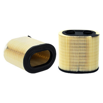 WIX® - Oval Air Filter