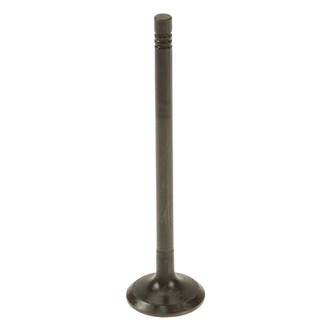 AE® - Exhaust Valve