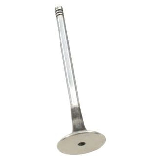 AE® - Exhaust Valve