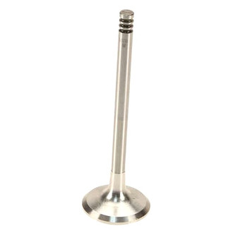 AE® - Exhaust Valve